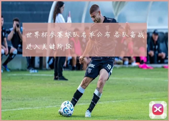 世界杯参赛球队名单公布 各队备战进入关键阶段