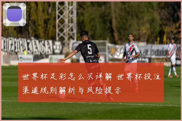 世界杯足彩怎么买详解 世界杯投注渠道规则解析与风险提示