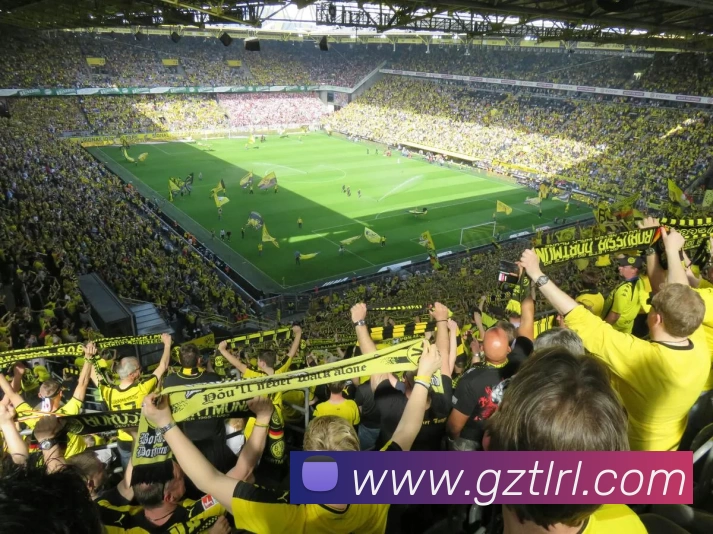 环球官方网站 - 环球huanqiu(中国)平台生态图